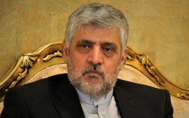 מוחמד רזא שיבאני (צילום: צילום מסך)