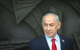 בנימין נתניהו (צילום: חיים גולדברג, פלאש 90)