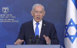 בנימין נתניהו בהצהרה (צילום: צילום מסך לע"מ)