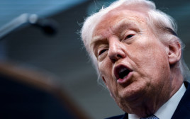 דונלד טראמפ (צילום: REUTERS/Evelyn Hockstein)