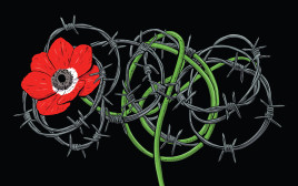 עד שישוב טלה (צילום: אורי פינק)