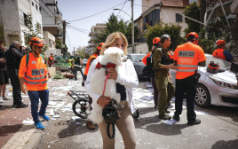 זירת נפילה (צילום: מרים אלסטר, פלאש 90)