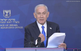 בנימין נתניהו בהצהרה  (צילום: צילום מסך)