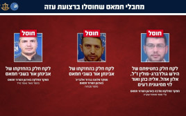 מחבלי חמאס שחוסלו ברצועת עזה (צילום: דובר צה"ל)