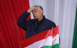 ויקטור אורבן (צילום: Sean Gallup/Getty Images)