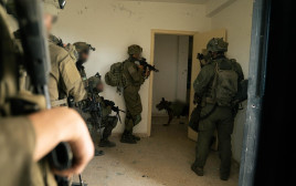 פעילות כוחות חטיבת גבעתי ואיתור אמצעי הלחימה בדרום לבנון (צילום: דובר צה"ל)