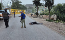 ניסיון פיגוע בישוב נגוהות (צילום: ללא)