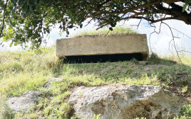 אחד משלושת הבונקרים (צילום: יוסי אחימאיר)