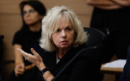 גלי בהרב מיארה (צילום: אורן בן חקון פלאש 90)