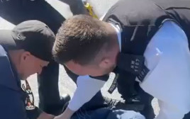 מעצר חשוד בלונדון (צילום: צילום מסך רשתות חברתיות לפי חוק 27א לזכויות יוצרים)