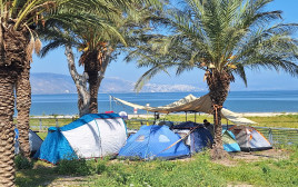 נופשים בכינרת (צילום: אושרי בן דור, איגוד ערים כינרת)