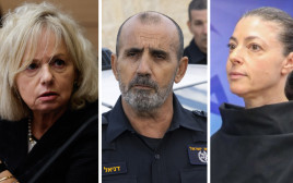 מרב מיכאלימרב מיכאלי, דני לוי, גלי בהרב מיארה (צילום: מארק ישראל סלם,חיים גולדברג פלאש 90)