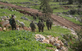 כוחות צה"ל בלבנון (צילום: דובר צה"ל)