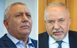 אביגדור ליברמן, גדי איזנקוט  (צילום: חיים גולדברג,יונתן זינדל פלאש 90)