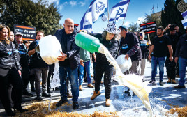 מחאת הרפתנים (צילום: יונתן זינדל פלאש 90)