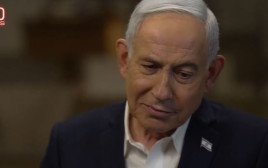 ראש הממשלה בנימין נתניהו בראיון ל-"60 דקות" (צילום: צילום מסך רשתות חברתיות)