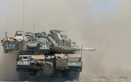 צה"ל  (צילום: דובר צהל)