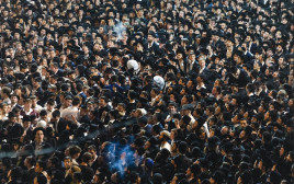 חרדים (צילום: חיים גולדברג פלאש 90)