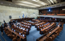 מליאת הכנסת (צילום: חיים גולדברג, פלאש 90)