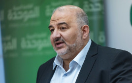 מנסור עבאס (צילום: יונתן זינדל פלאש 90)