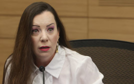 טלי גוטליב (צילום: מרק ישראל סלם)