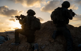פעילות צה"ל בגזרות השונות  (צילום: דובר צהל)