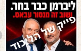 הקמפיין של הליכוד: אביגדור ליברמן ומנסור עבאס (צילום: צילום מסך רשת X)