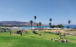 חוף צמח (צילום: צילום: נועה אלפנדרי, איגוד ערים כינרת)