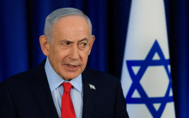 בנימין נתניהו (צילום: REUTERS/Ronen Zvulun/File Photo)