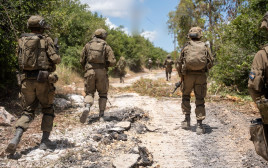 פעילות כוחות חטיבה 401 בדרום לבנון (צילום: דובר צה"ל)