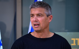 יועז הנדל (צילום: אבשלום ששוני)