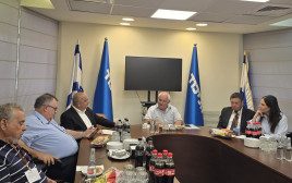 ועדת החוקה של הליכוד (צילום: דוברות הליכוד)