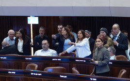 ח"כ מהקואליציה בעת ההצבעה למבקר המדינה בכנסת (צילום: אורן בן חקון)