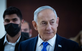בנימין נתניהו (צילום: יונתן זינדל, פלאש 90)
