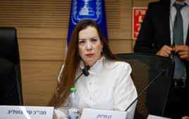 חברת הכנסת טלי גוטליב בדיון הסרת החסינות (צילום: נועם מושקוביץ דוברות הכנסת)