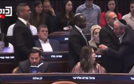 התנפלות על דן אילוז אחרי שהצביע נגד החוק יסוד לימוד התורה (צילום: צילום מסך)
