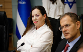 טלי גוטליב (צילום: נועם מושקוביץ, דוברות הכנסת)
