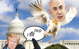 הטור של נתן זהבי (צילום: איור: אורי אינקס)