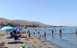 אנשים רוחצים בחופי הכנרת (צילום: איגוד ערים כנרת)