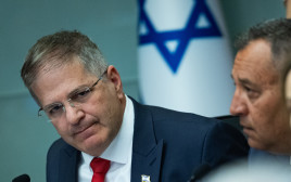 יואב קיש (צילום: יונתן זינדל פלאש 90)