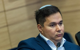 דן אילוז (צילום: חיים גולדברג פלאש 90)