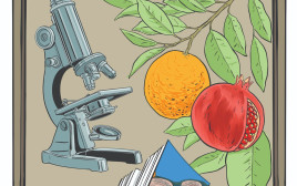 מרסל מוסרי (צילום: איור: אורי פינק)