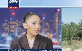 לי עייש (צילום: צילום מסך i24News)