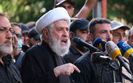 נעים קאסם נואם (צילום: gettyimages)