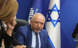 ח"כ אביגדור ליברמן (צילום: מרק ישראל סלם)