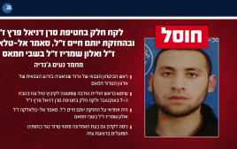 מחמד נעים ג'נדיה (צילום: דובר צה"ל)