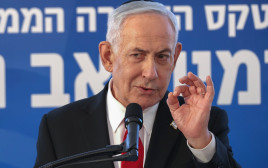 בנימין נתניהו (צילום: ALEX KOLOMOISKY/POOL)