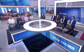 פאנל בערוץ 12 (צילום: צילום מסך ערוץ 12)