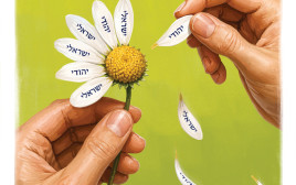 מאיר עוזיאל (צילום: איור: אופיר בגון)