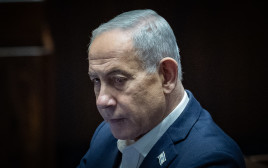 בנימין נתניהו (צילום: יונתן זינדל, פלאש 90)